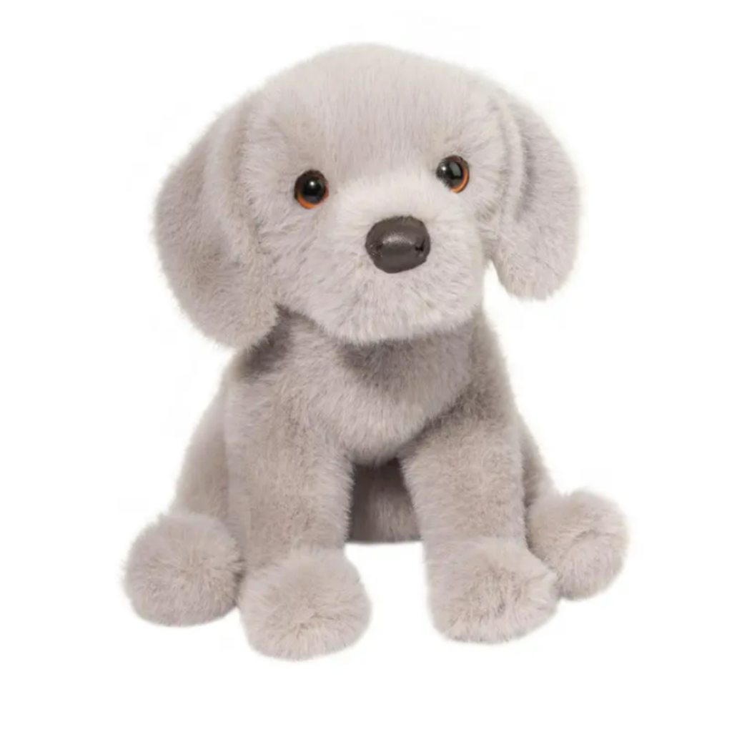 Argento Silver Lab main image 0