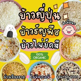 รวมข้าวออแกนิค 100% สำหรับเด็ก 6 เดือนขึ้นไป ข้าวจังหวัดเชียงราย photo
