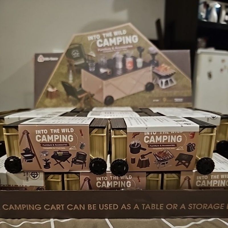 กล่องสุ่ม into the wild camping mr.diy | Shopee Thailand