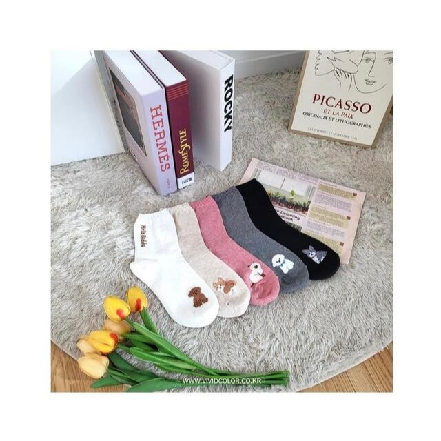 Chacha socks - ถุงเท้าข้อยาว Doggy Buddy Socks แบรนด์ Vivid Color ...