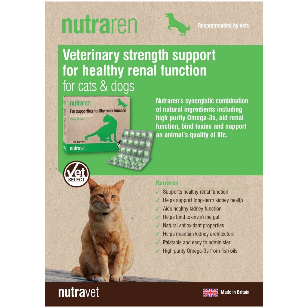 Nutraren Nutravet🔥Exp.2028 อาหารเสริม บำรุงไต สุนัข แมว สัตว์เลี้ยง ...