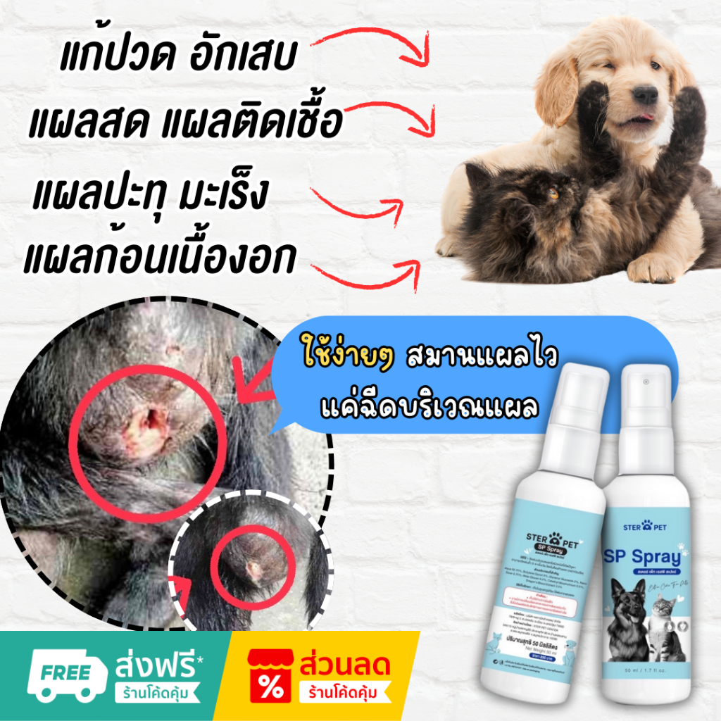 SP Spray สเปรย์รักษาก้อนเนื้อแผลน้องหมาน้องแมว นวัตกรรมนาโนสเปรย์ จาก ...