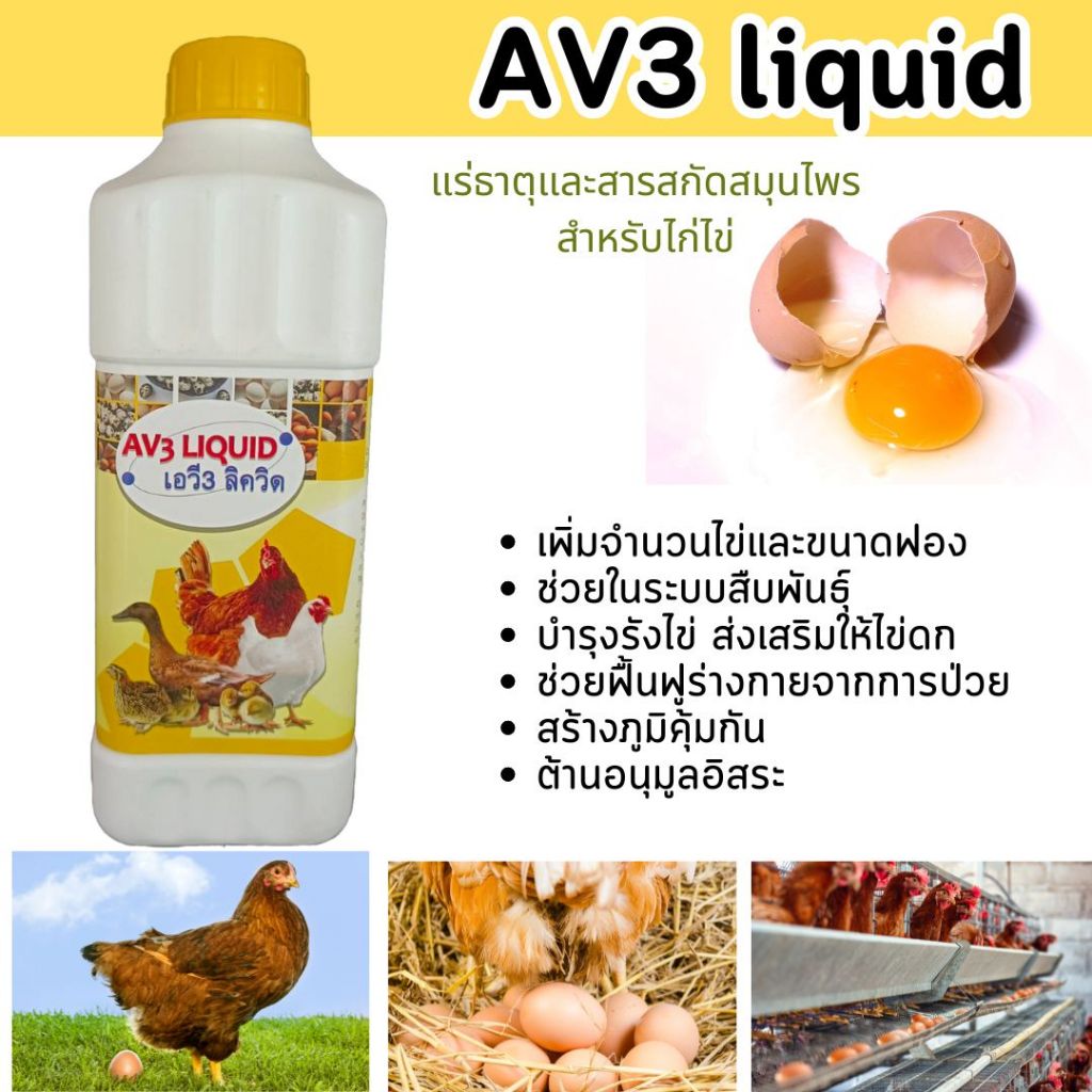 AV3 liquid พรีมิกซ์แร่ธาตุและสมุนไพรสำหรับไก่ไข่ | Shopee Thailand