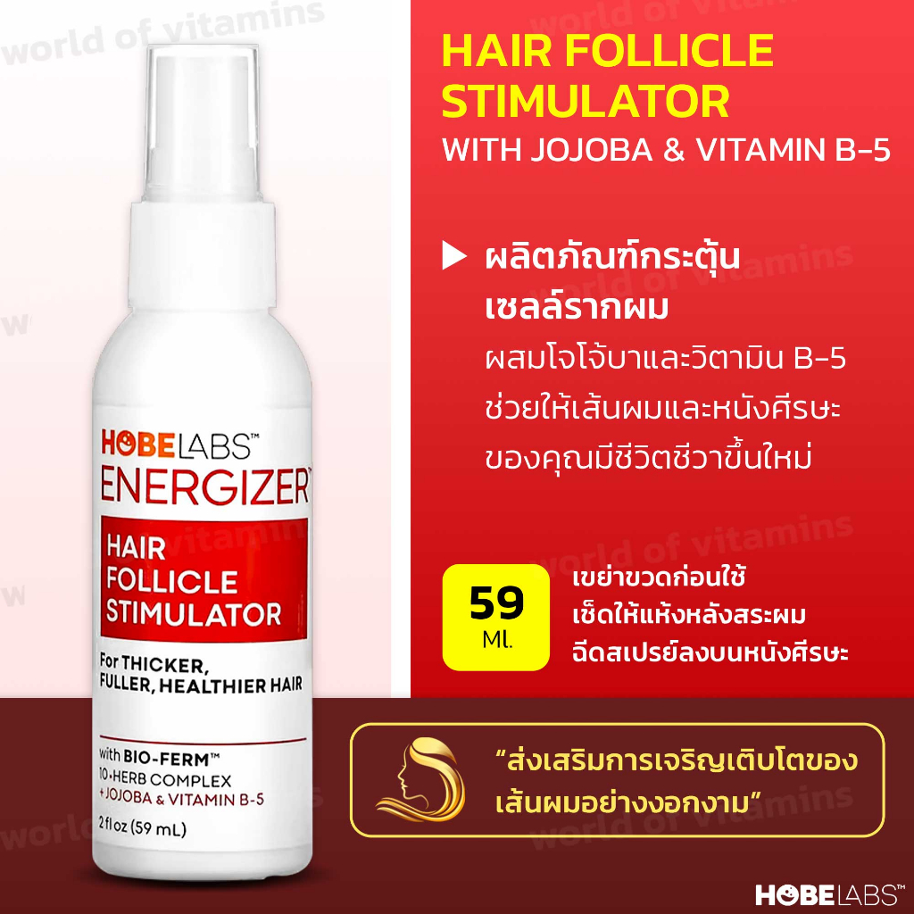 Hobe Labs, Energizer, Hair Follicle Stimulator, 2 fl oz (59 ml)(sku ...