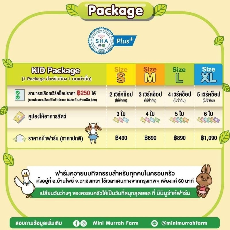 mini-murrah-farm-บัตรเวิร์คช็อป-มินิ-มูร่าห์-ฟาร์ม-จังหวัดฉะเชิงเทรา