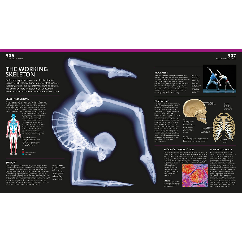 The Complete Human Body The Definitive Visual Guide Alice Roberts ...