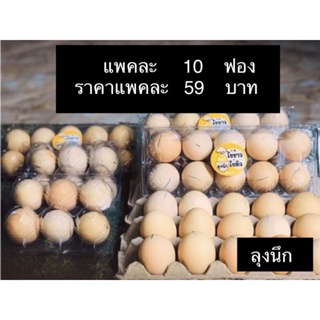 ภาพหน้าปกสินค้าไข่ข้าวไข่ตัวลุงนึก🔥ราคา59บาท/10ฟอง🔥#ไข่ข้าวนึ่งสุก#ไข่ฮ้างฮาง#ไข่ลูกอ่อน ที่เกี่ยวข้อง