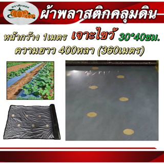 ผ้าพลาสติกคลุมดินฟักทอง 1เมตร เจาะไขว้ ระยะห่าง30*40ซม , 25*50ซม. ยาว360เมตร ความหนา25ไมคอน