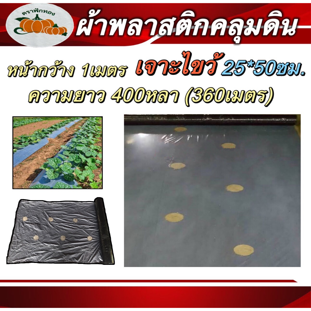 ผ้าพลาสติกคลุมดินฟักทอง-1เมตร-เจาะไขว้-ระยะห่าง30-40ซม-25-50ซม-ยาว360เมตร-ความหนา25ไมคอน