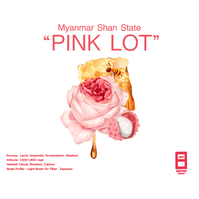 myanmar-shan-state-pink-lot