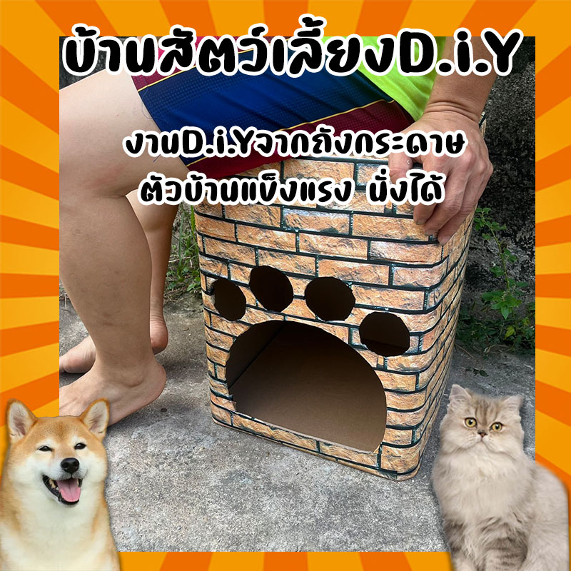 บ้านแมวจากถังกระดาษ-บ้านสัตว์เลี้ยง-คอนโดแมวd-i-y