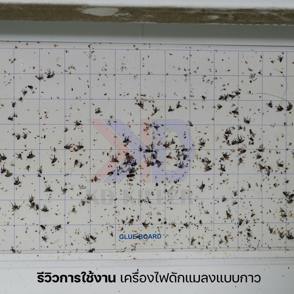 แผ่นกาวดักแมลง-insect-traps-glue-board-สำหรับเครื่องไฟดักแมลง