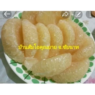 ส้มโอขาวแตงกวา จ.ชัยนาท รสชาติดีมีเอกลักษณ์พิเศษ 2 ลูก 229 บาท photo