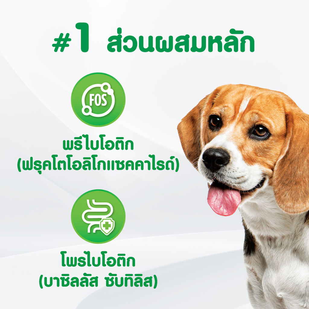 iams-ไอแอมส์-อาหารเสริมสุนัข-อาหารเสริมเคี้ยวได้-ขนาด-168-g