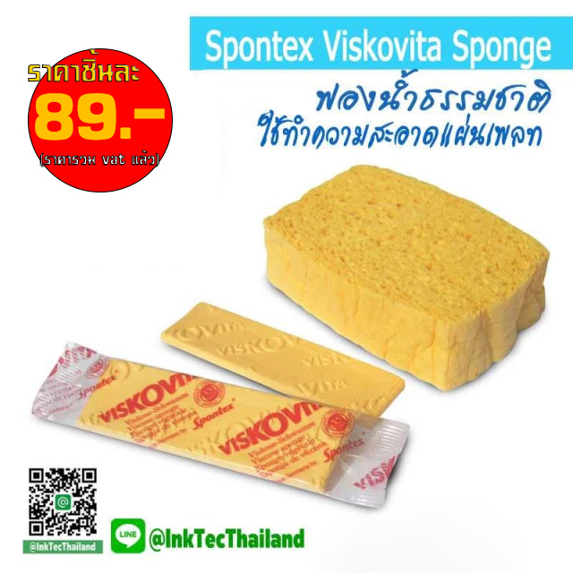 ฟองน้ำถูเพลท ฟองน้ำทำความสะอาดเพลท ฟองน้ำเช็ดเพลท Spontex Viskovita