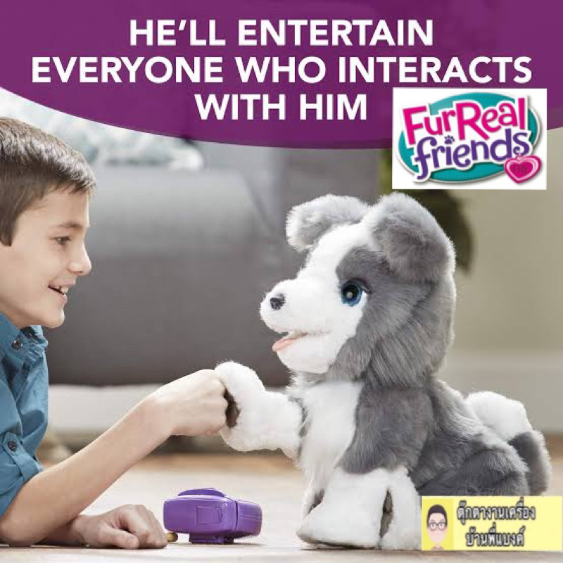 ‼️พร้อมส่ง‼️ตุ๊กตาสุนัข FurReal Friends Ricky, the Trick-Lovin ...