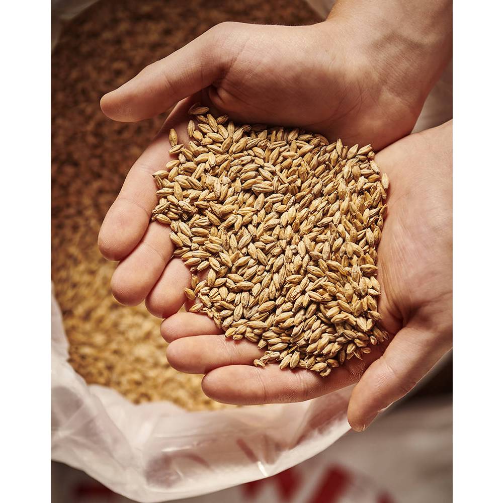 มอลต์ CARARED Malt Weyermann Malt Homebrew ทำเบียร์ จาก Germany ขนาด 1 ...