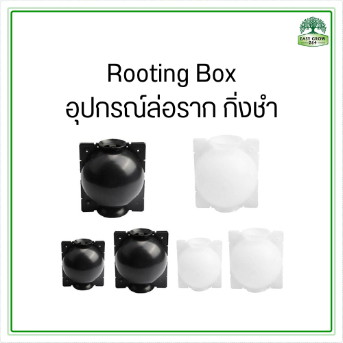 rooting-box-อุปกรณ์ล่อราก-กิ่งชำ-รากอากาศ-อุปกรณ์ปลูกต้นไม้