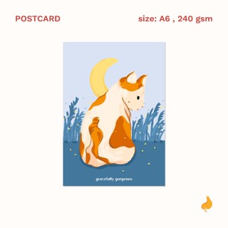 Postcard — Gracefully gorgeous โปสการ์ด A6 🐈 | a cat in my tummy