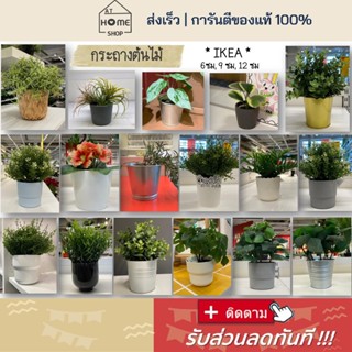 ส่งเร็ว I อิเกีย I พร้อมส่ง กระถางต้นไม้ สไตล์ลอฟท์ มินิมอล IKEA