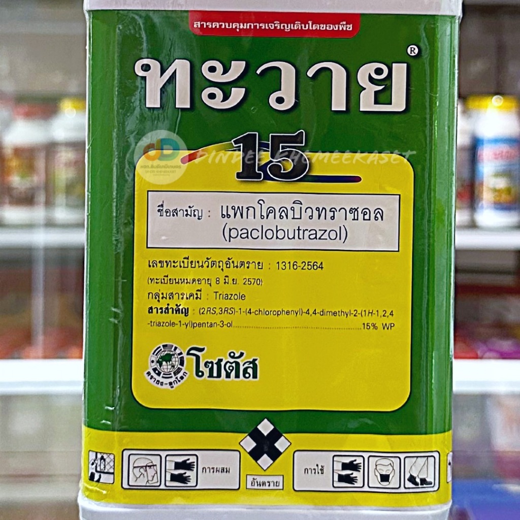 ทะวาย-15-ta-wai-15-ทะวาย-แพกโคลบิวทราซอล-paclobutrazol-15-sc-ส่งเสริมการออกดอกของทุเรียนและมะม่วงนอกฤดู