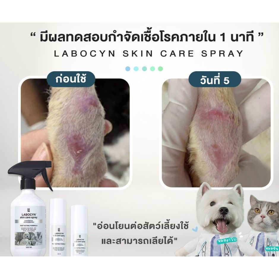Labocyn Spray Skin Care **ฆ่าเชื้อ99.99% สเปรย์พ่นดูแลผิวหนัง เชื้อรา ...