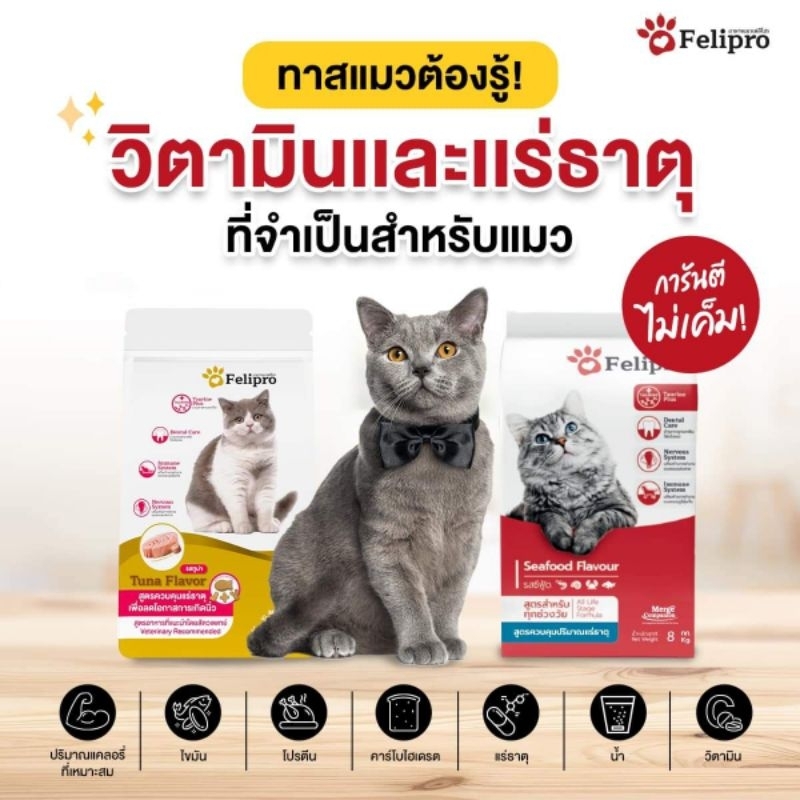 felipro-เฟลิโปร-1-kg-หมดอายุ-04-2025-อาหารแมว-รสทูน่าถุงสีทองขนาด-1-kg