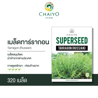 เมล็ด TARRAGON (Russian) ทาร์รากอน