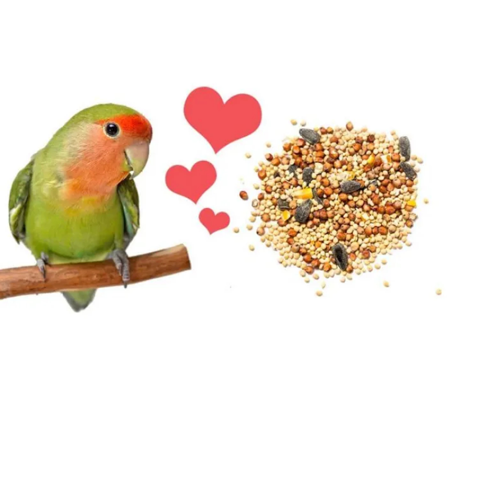 team-lovebird-amp-cockatiel-ทีม-ยอดอาหารนกเลิฟเบิร์ด-amp-ค็อกคาเทล-1-kg