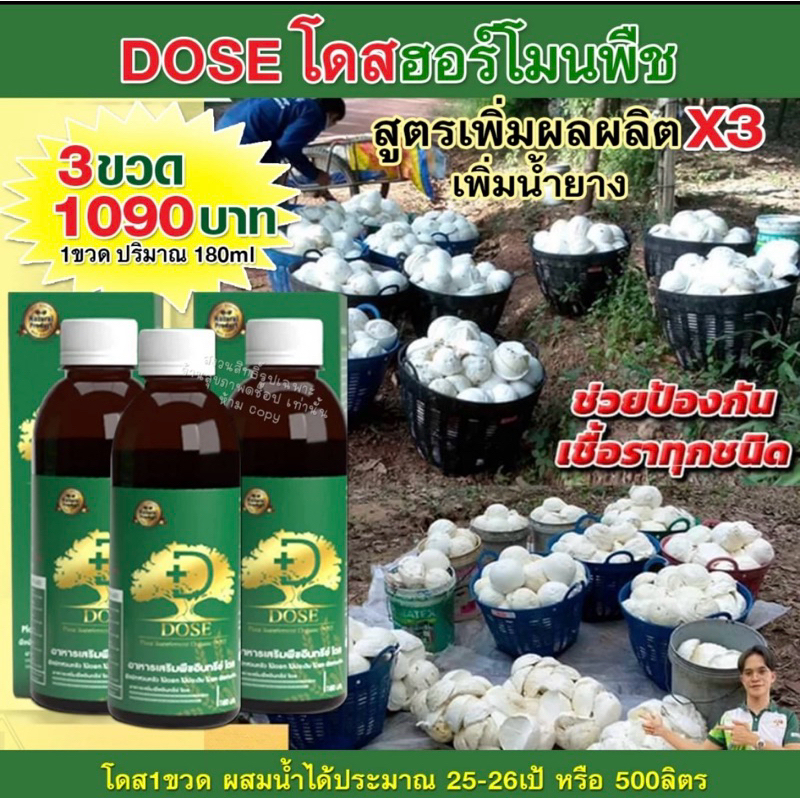 dose-ฮอร์โมนพืช-เพิ่มผลผลิต-แก้เชื้อรา-หน้ายางตาย-ใช้ได้กับพืชทุกชนิด