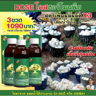 Dose  ฮอร์โมนพืช✅เพิ่มผลผลิต✅แก้เชื้อรา✅หน้ายางตาย✅ใช้ได้กับพืชทุกชนิด