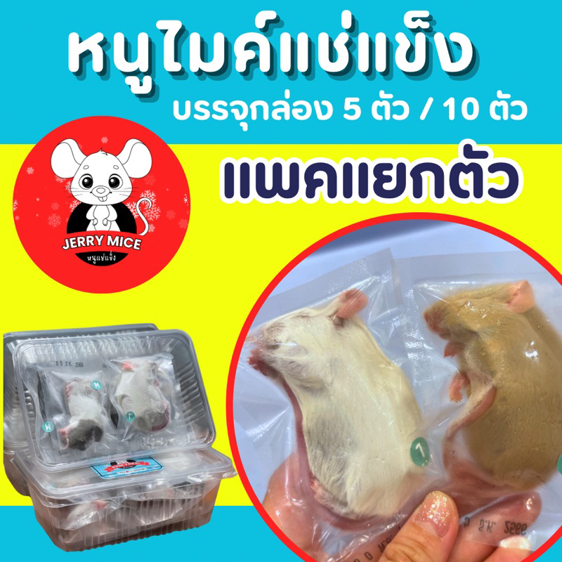 🔥JerryMice หนูไมค์แช่แข็ง แพค 10ตัว สำหรับ งู สัตว์เลื้อยคลาน หนูไมค์ ...