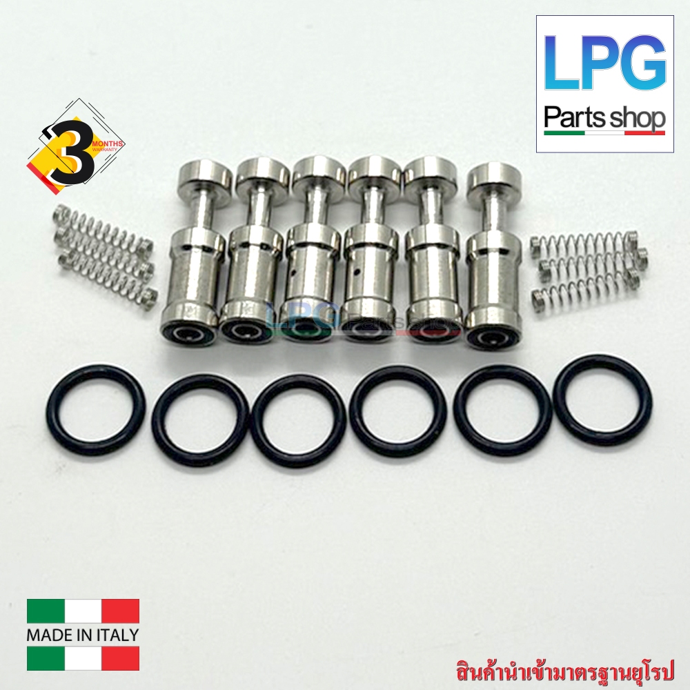 ชุดซ่อมรางหัวฉีด Energy Reform / Versus รางแดง/ Valtek Type 30 | Shopee ...