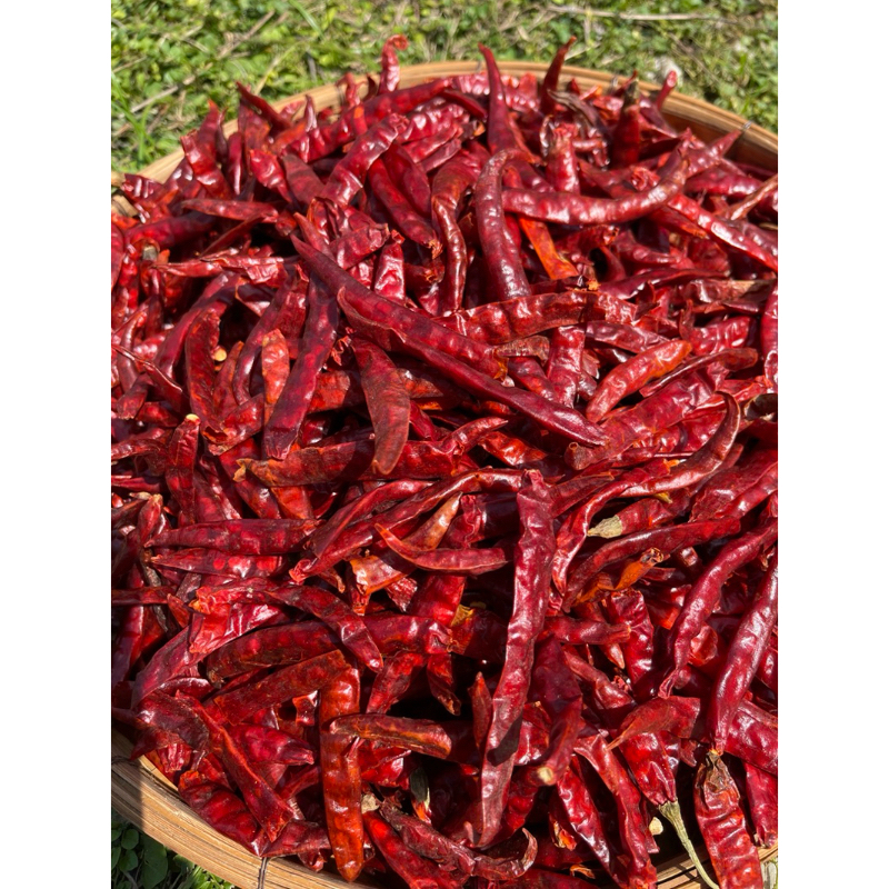 🌶พริกแห้งจินดา 1 กก. เผ็ดทุกเม็ด🌶 (เด็ดก้าน มีก้าน) | Shopee Thailand