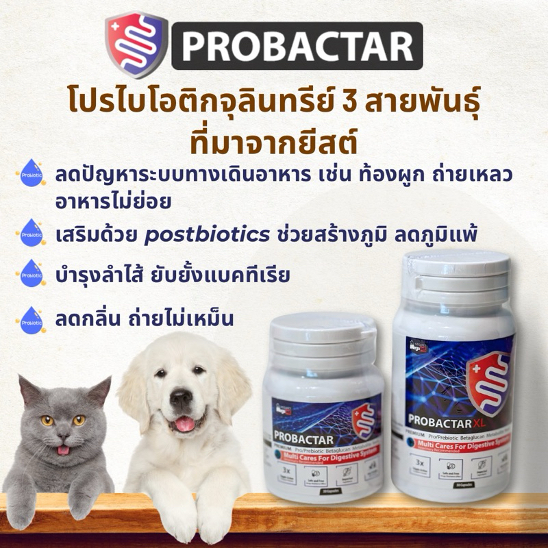 Probactar โปรไบโอติกจากยีสต์สำหรับสุนัขและแมว ปรับสมดุลทางเดินอาหาร ลด ...
