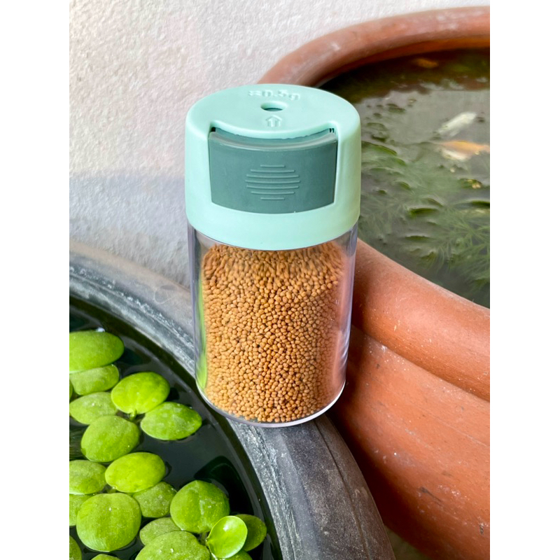 ขวดใส่อาหารปลา ที่ให้อาหารปลา | Shopee Thailand