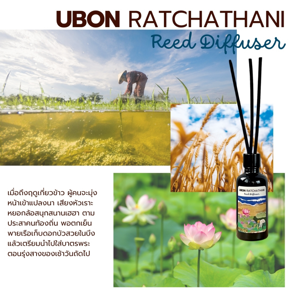 หลงอุบล ก้านไม้หอมปรับอากาศ Thai Crush Reed Diffuser 50 ml ประสบการณ์ ...