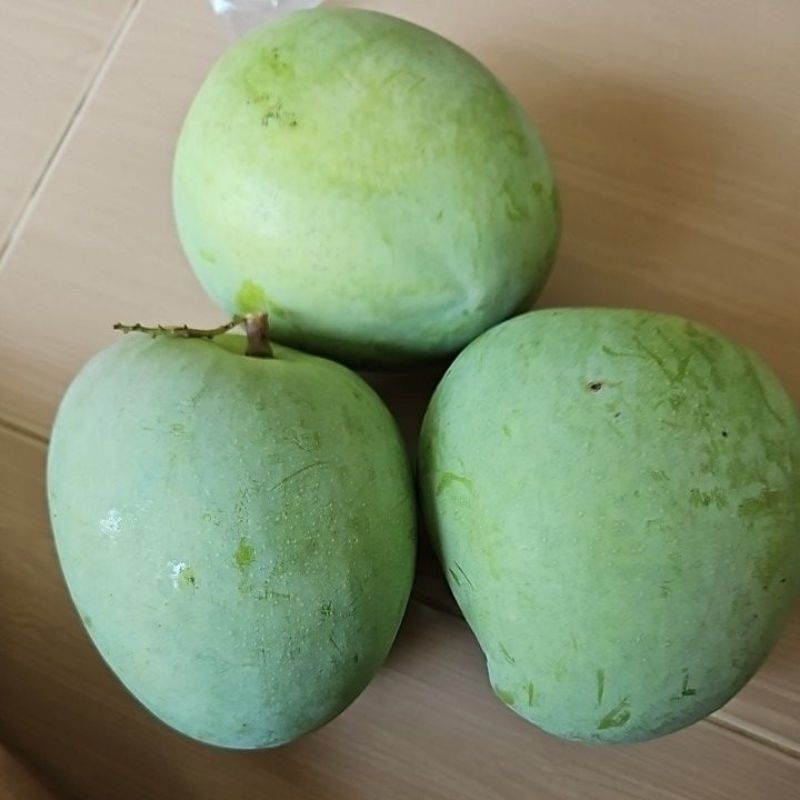 มะม่วงอาร์ทูอีทู R2E2 Mango | Shopee Thailand