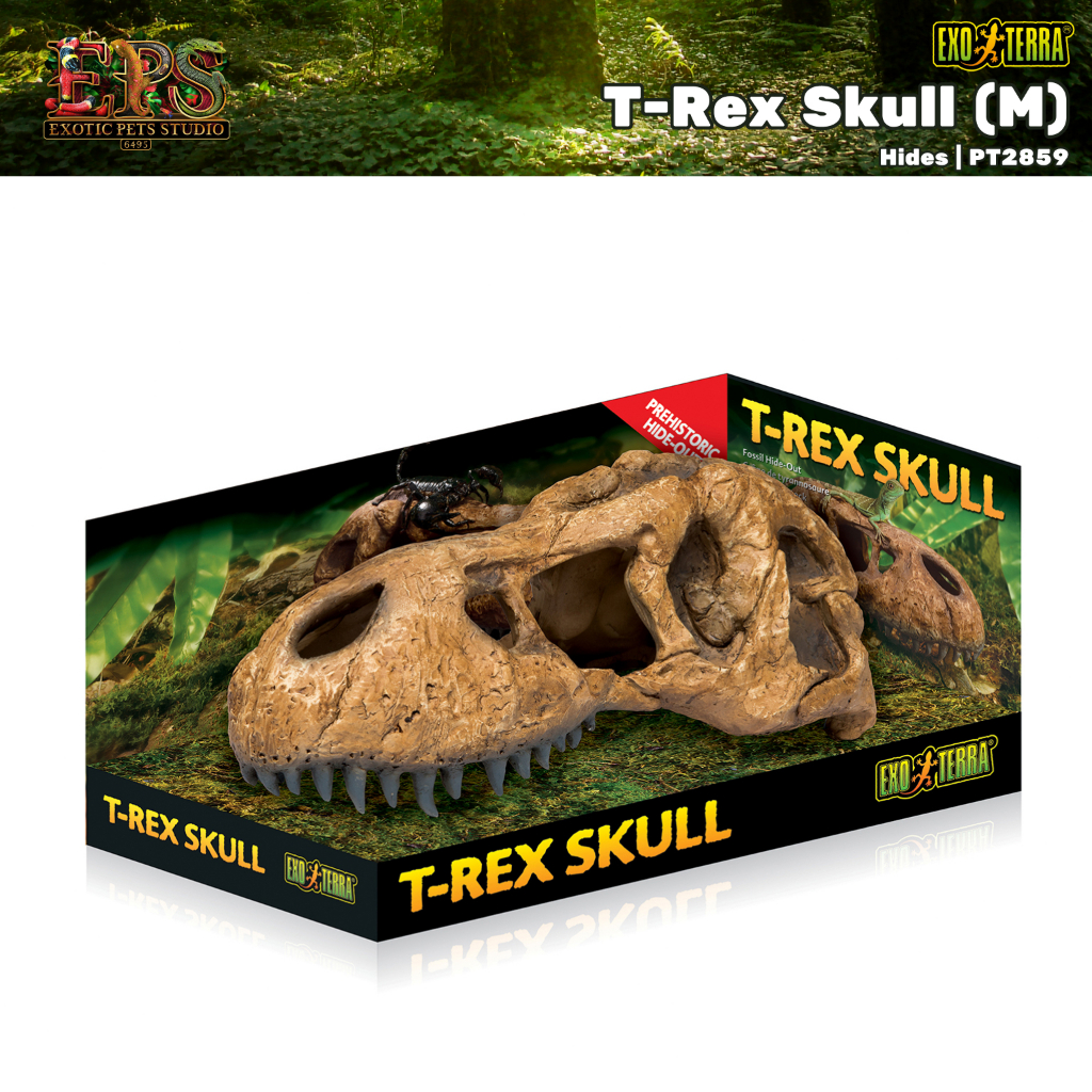 Exo Terra T-Rex Skulls ที่ซ่อนตัวรูปแบบกระโหลกทีเร็กซ์ (S / L) | Shopee ...