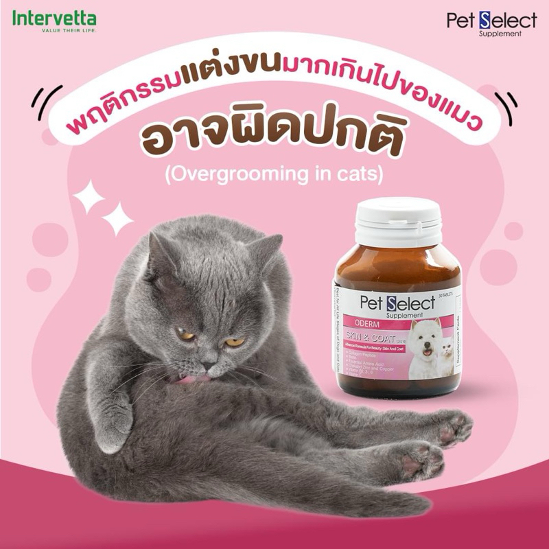 Pet select skin&coat care 30 เม็ด Exp. 14/02/2025 บำรุงผิวหนังและขน ...