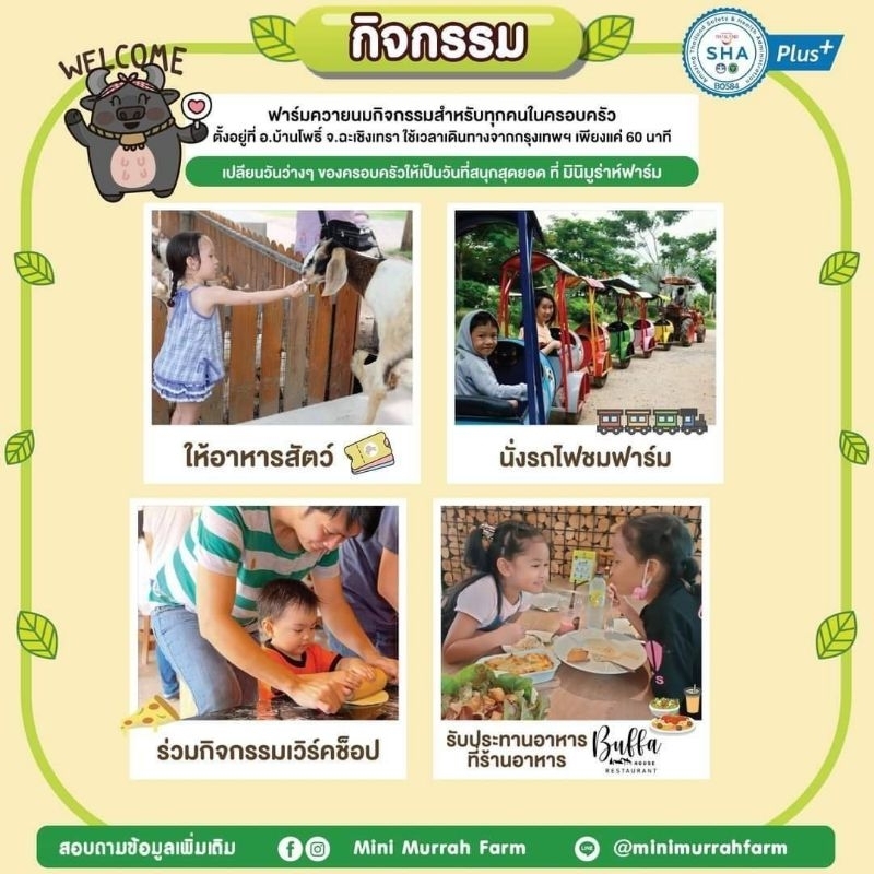 mini-murrah-farm-บัตรเวิร์คช็อป-มินิ-มูร่าห์-ฟาร์ม-จังหวัดฉะเชิงเทรา