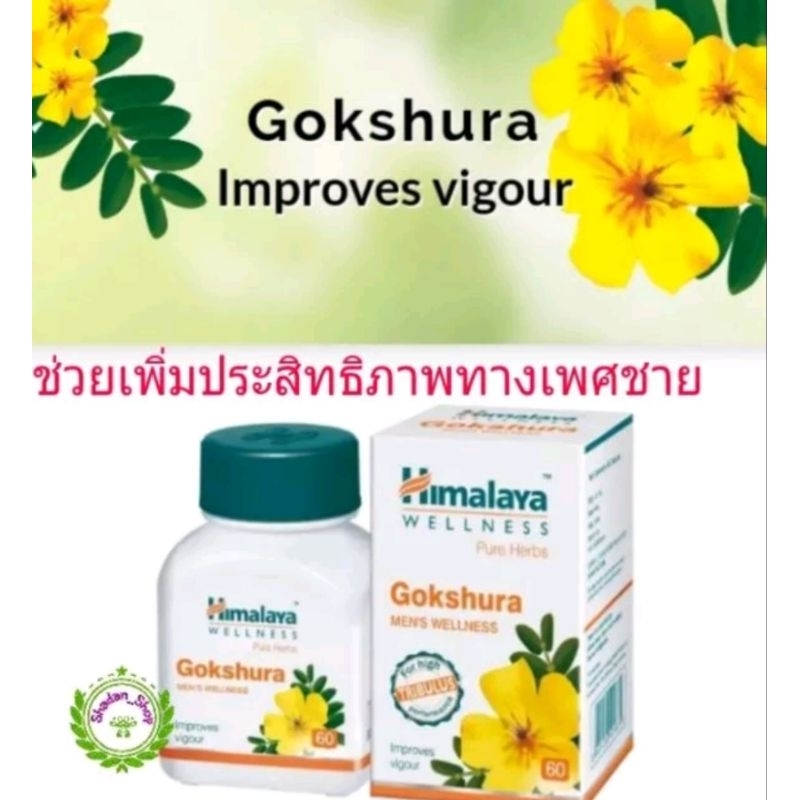 himalaya-gokshura-เพิ่มประสิทธิภาพทางเพศชาย