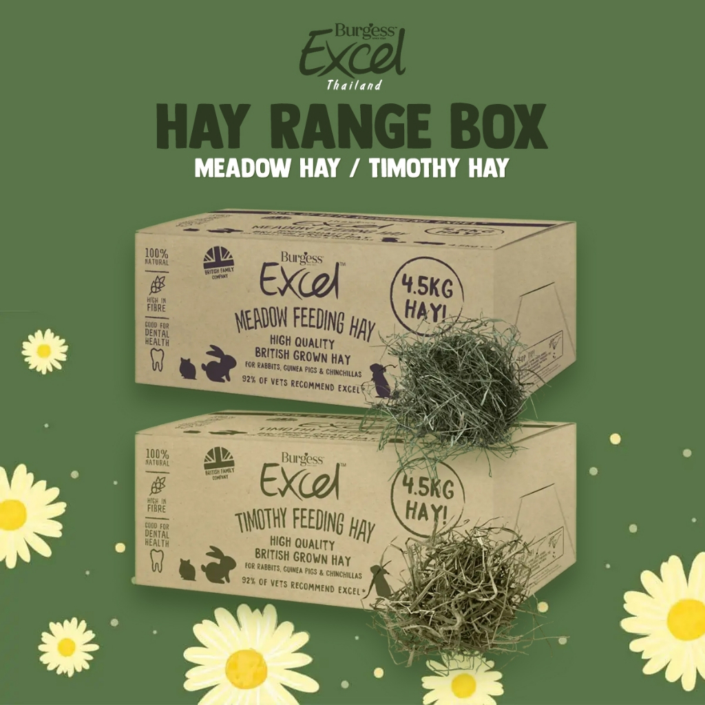 Burgess Excel Hay Rang Box 4 kg | Shopee Thailand