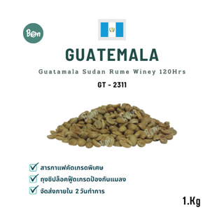 สารกาแฟกัวเตมาลา ซูดาน รูเม่ ไวน์นี่ 120 ชม. - Guatamala Sudan Rume Winey 120Hrs (GT2311) ขนาด 1 Kg.