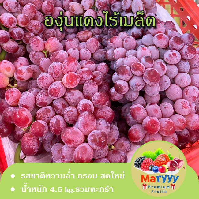 องุ่นแดงไร้-องุ่นไร้เมล็ด-นำเข้าจากจีน-ตู้ใหม่-สวยสด-หวาน-กรอบ-พวงใหญ่-น้ำหนัก-4-5-kg-รวม-ผลไม้สด-maryyypremiumfruits