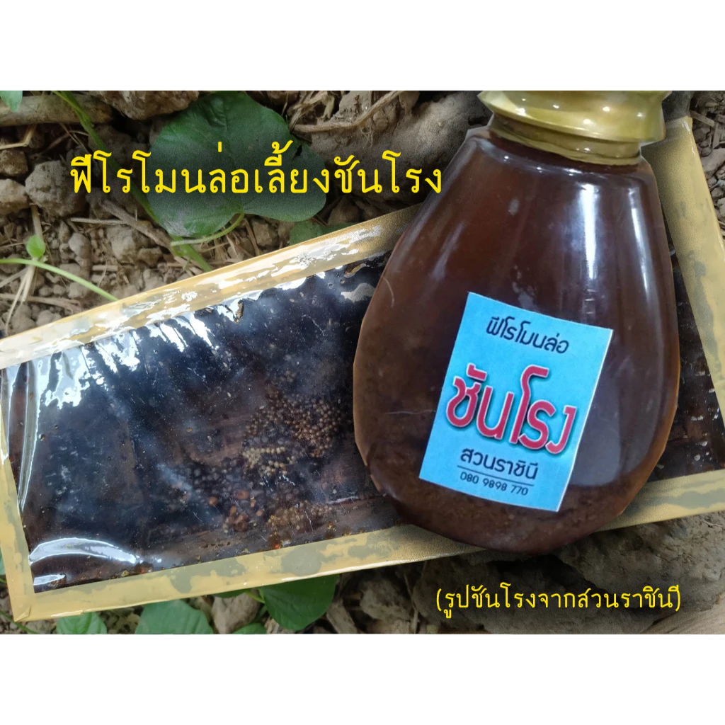 สินค้า 9