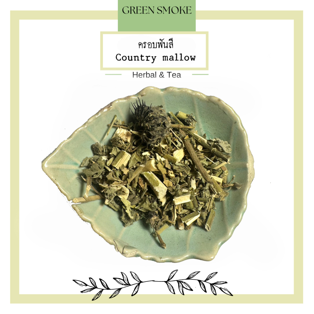 Bala (Country mallow) ครอบฟันสี | Shopee Thailand