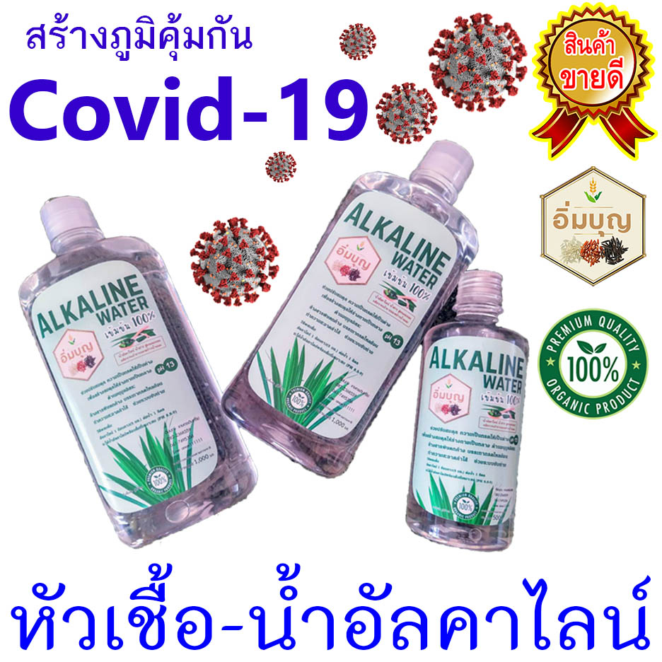 น้ำอัลคาไลน์-น้ำด่าง-ph-13-ขวดใหญ่-1-ลิตร-alkaline-water-เข้มข้น-หัวเชื้อผสมน้ำ-กรดไหลย้อน-ท้องอืด