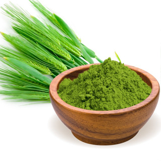 Fitfood -  Barley grass 100g.(ผงใบอ่อนข้าวบาร์เลย์ ออร์แกนิค)