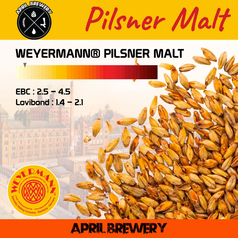 มอลต์ ทำเบียร์ WEYERMANN Pale Ale Malt / Wheat Malt / Pilsner Malt